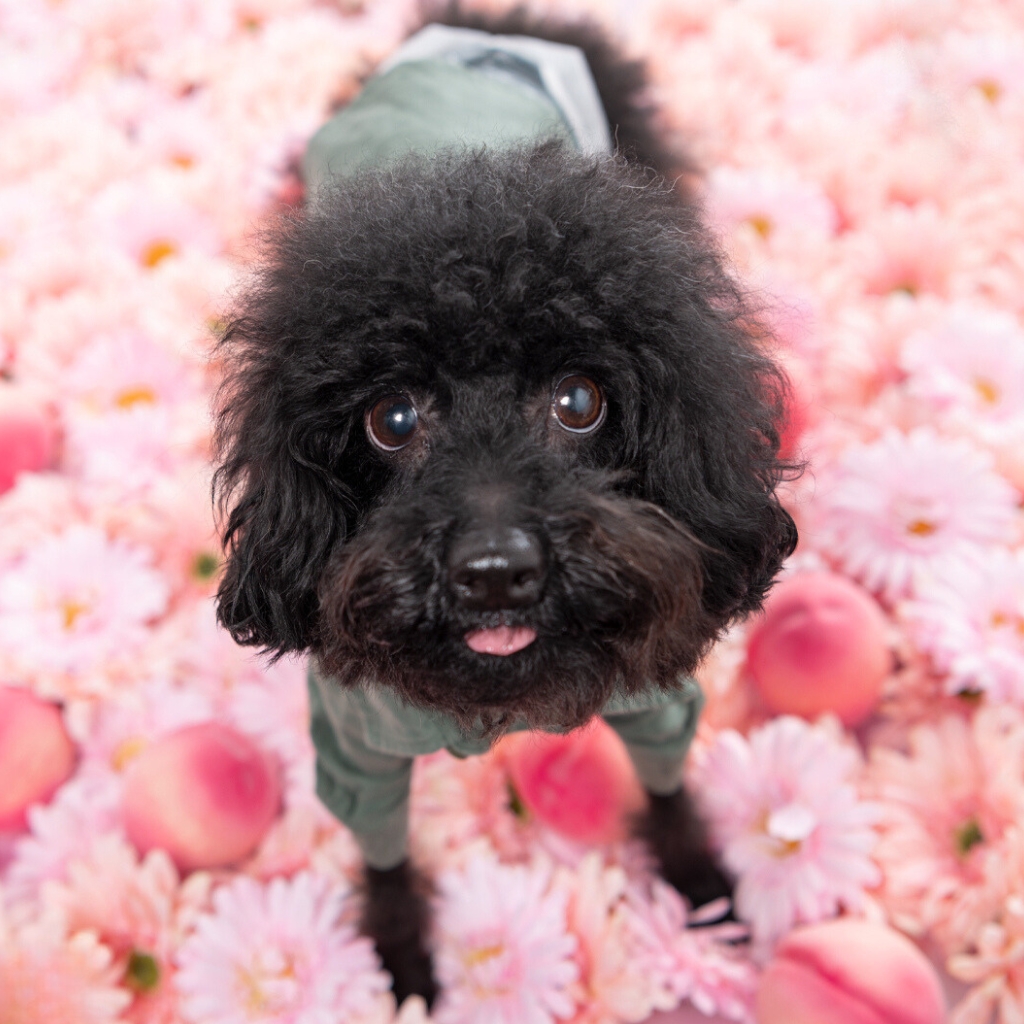 撮影モデルさん