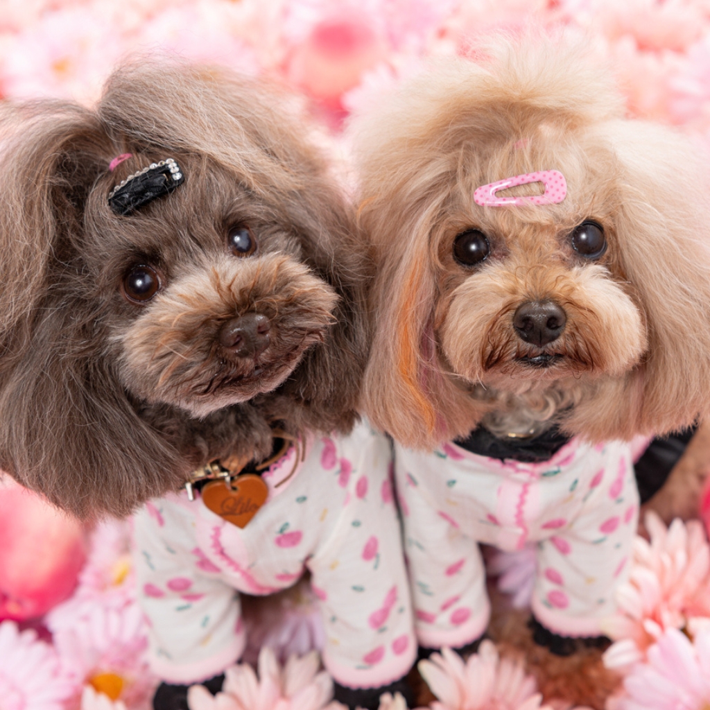 撮影モデルさん