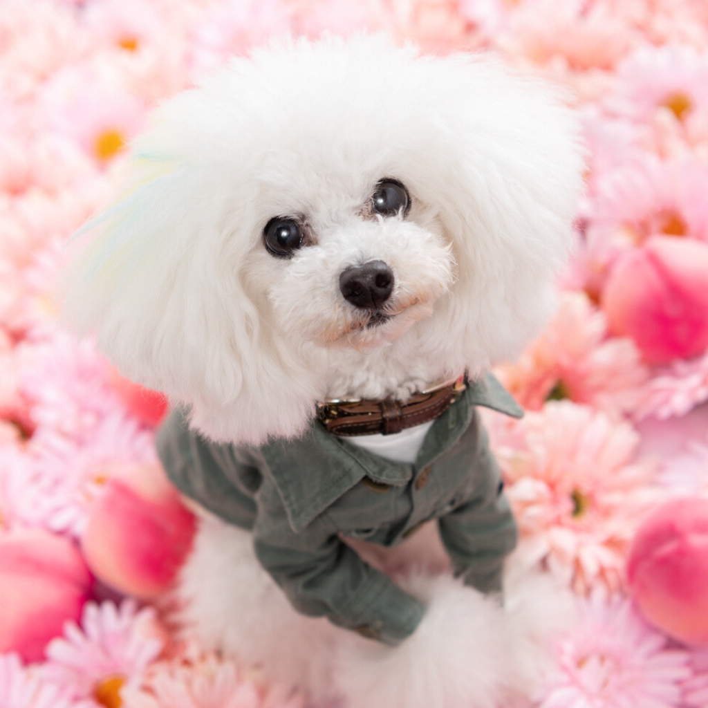 撮影モデルさん