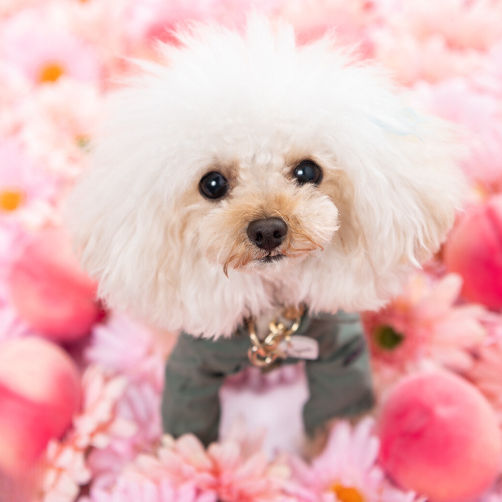 撮影モデルさん