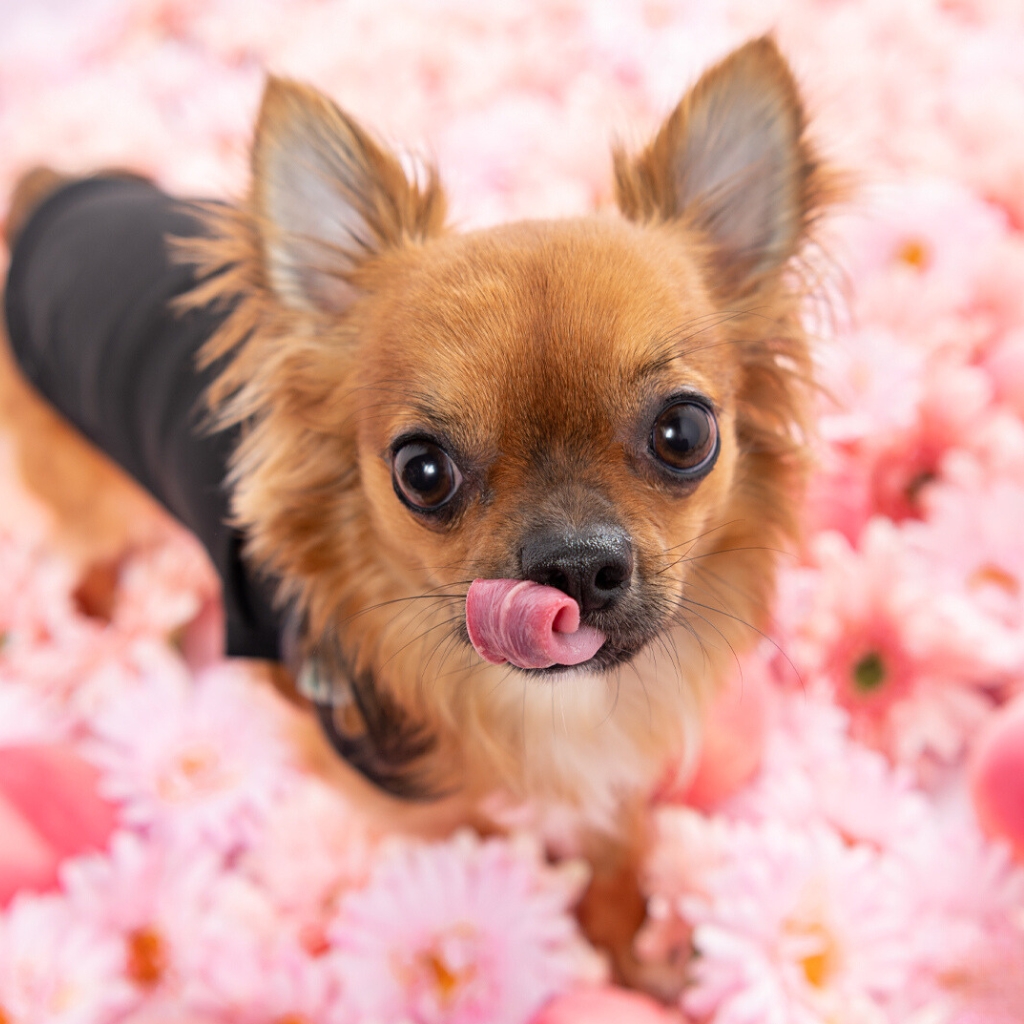 撮影モデルさん