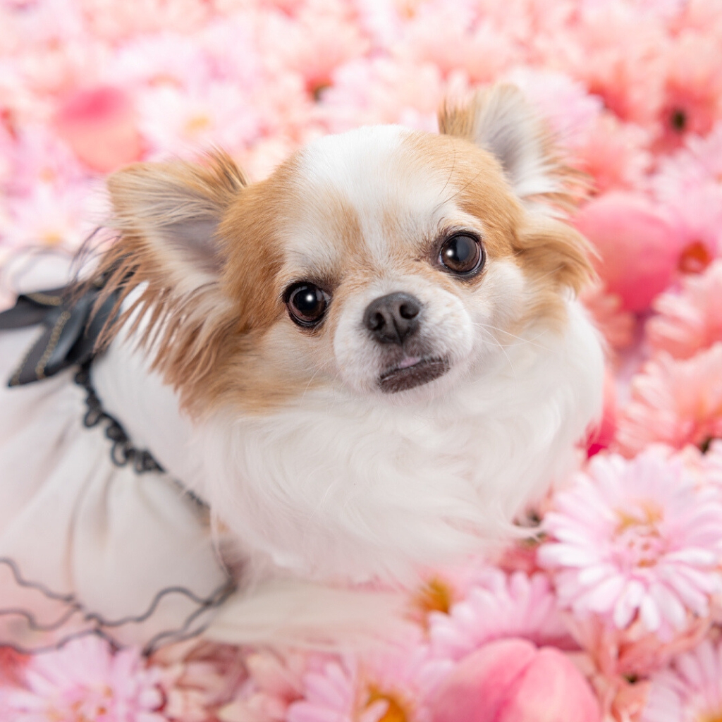 撮影モデルさん