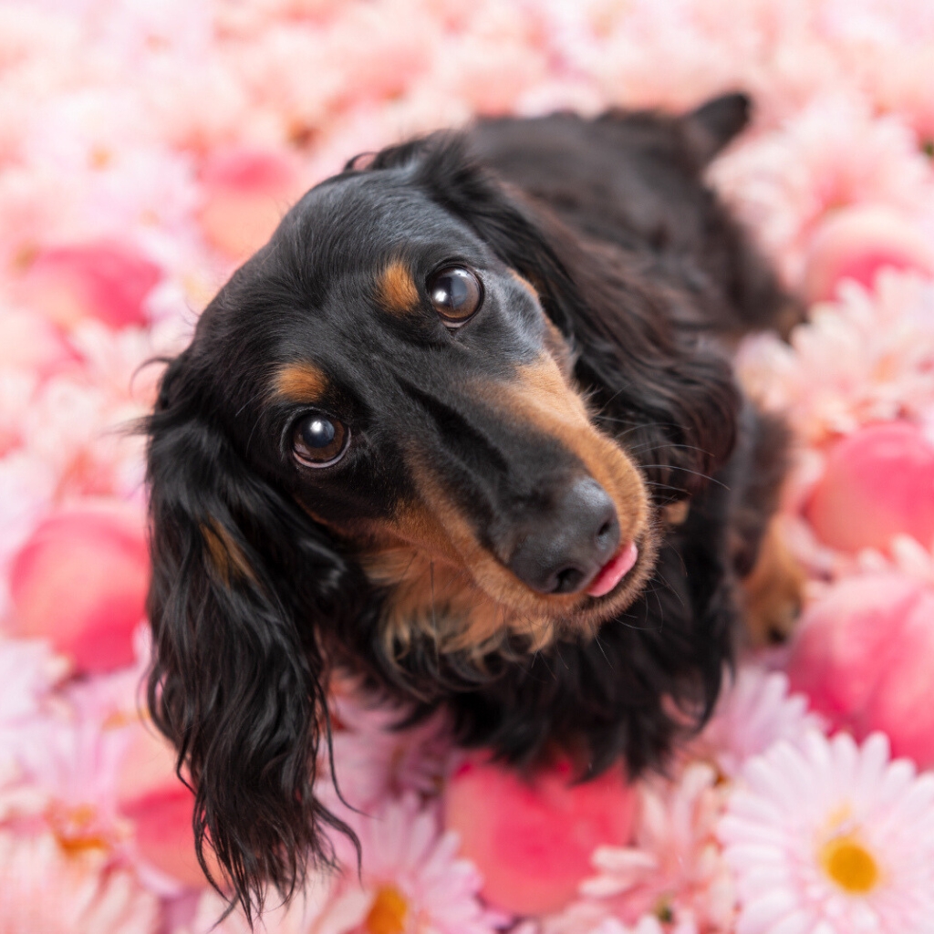 撮影モデルさん