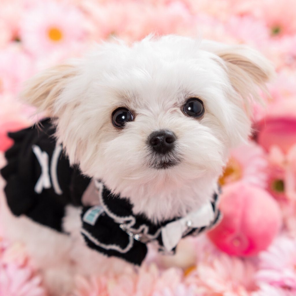 撮影モデルさん