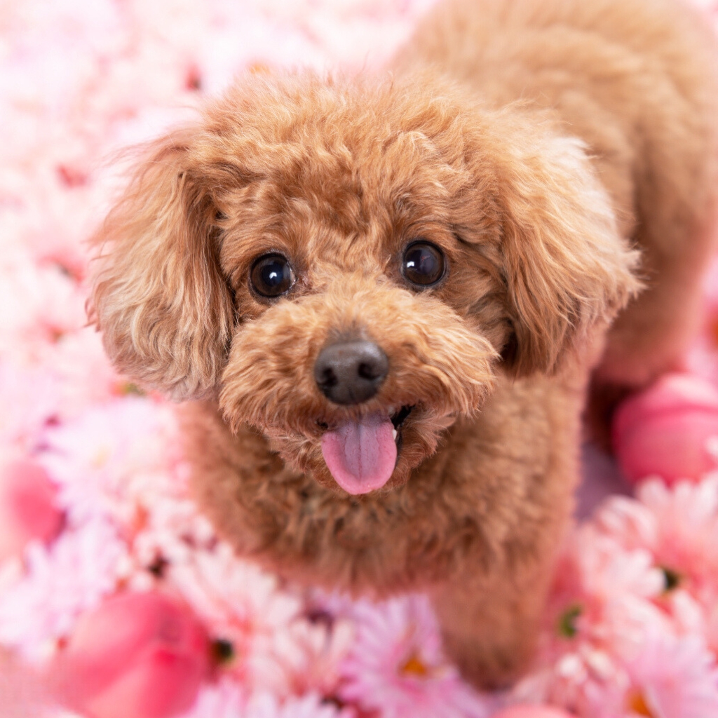 撮影モデルさん