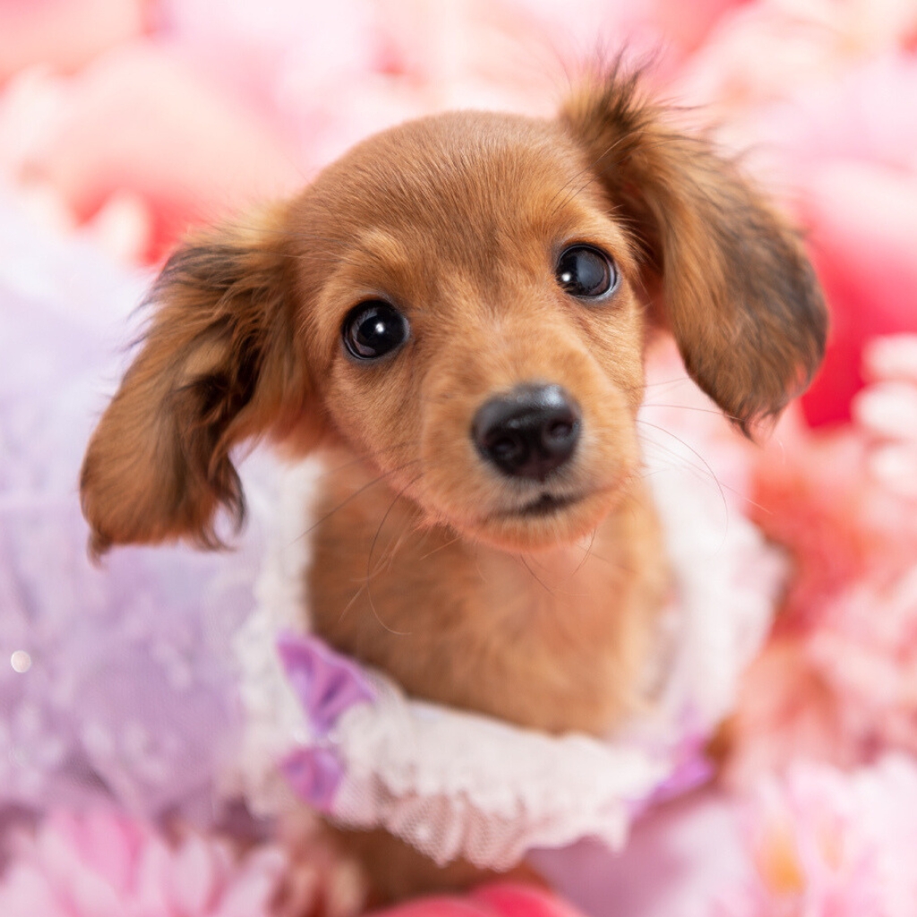 撮影モデルさん