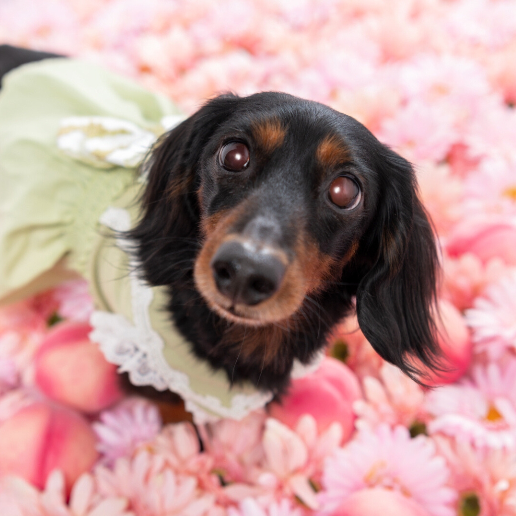 撮影モデルさん