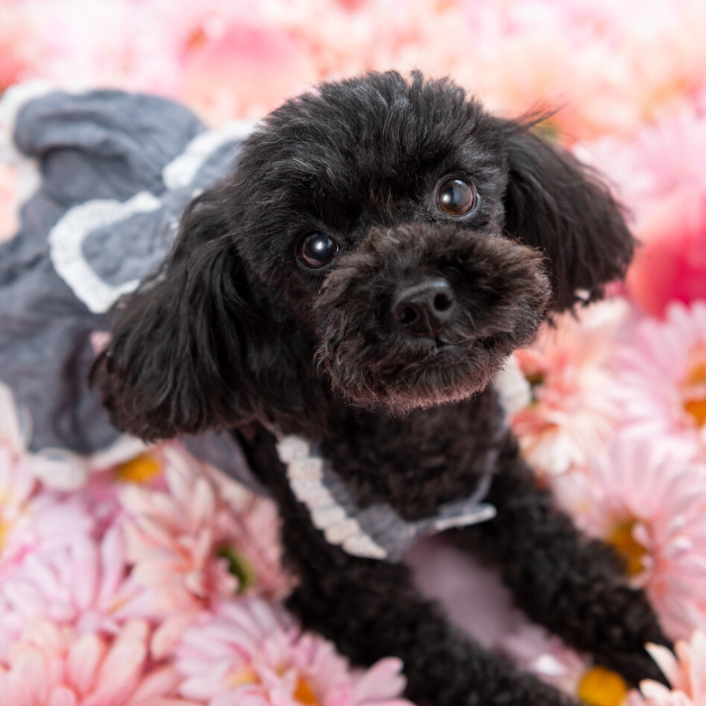 撮影モデルさん