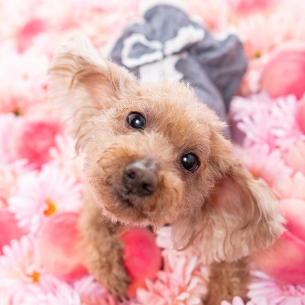 撮影モデルさん