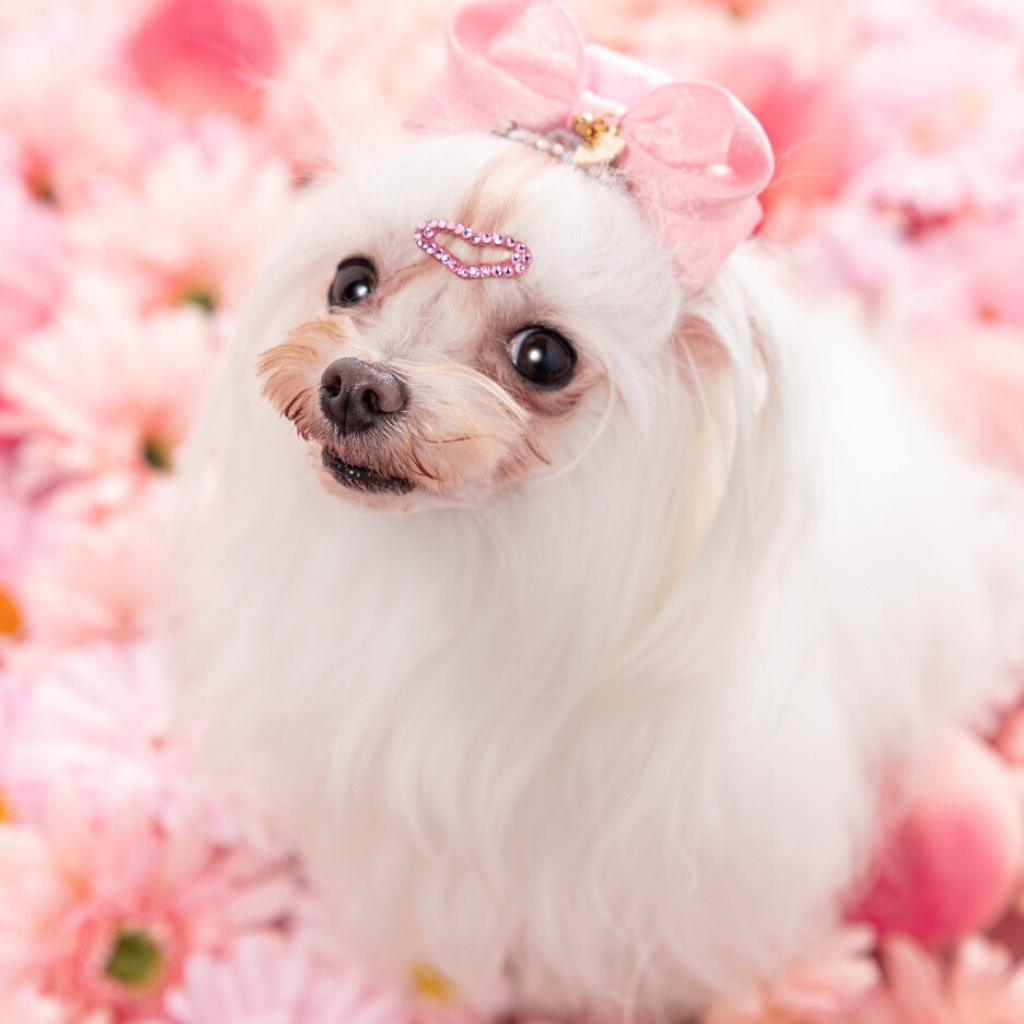 撮影モデルさん