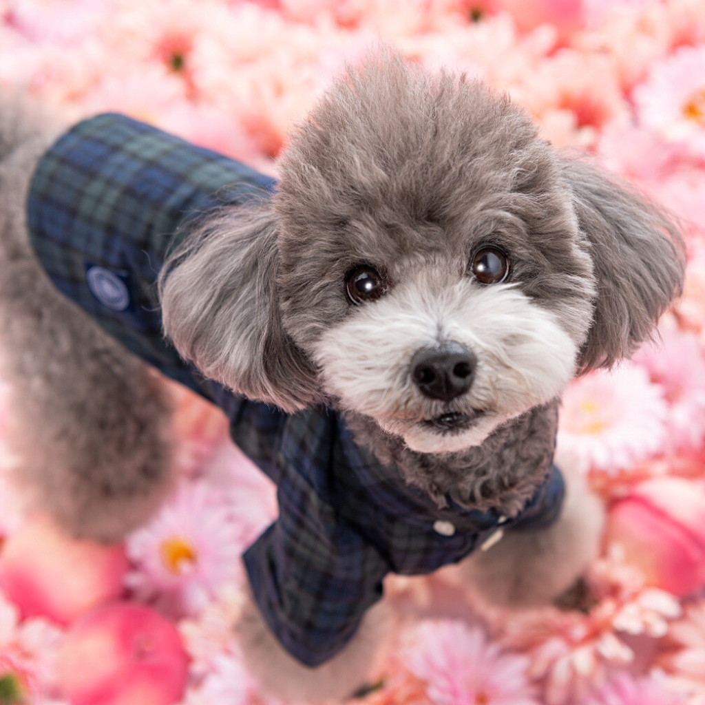 撮影モデルさん