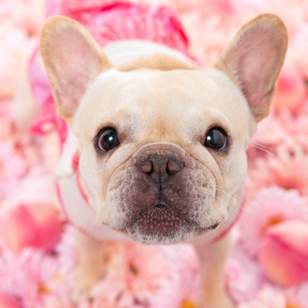 撮影モデルさん