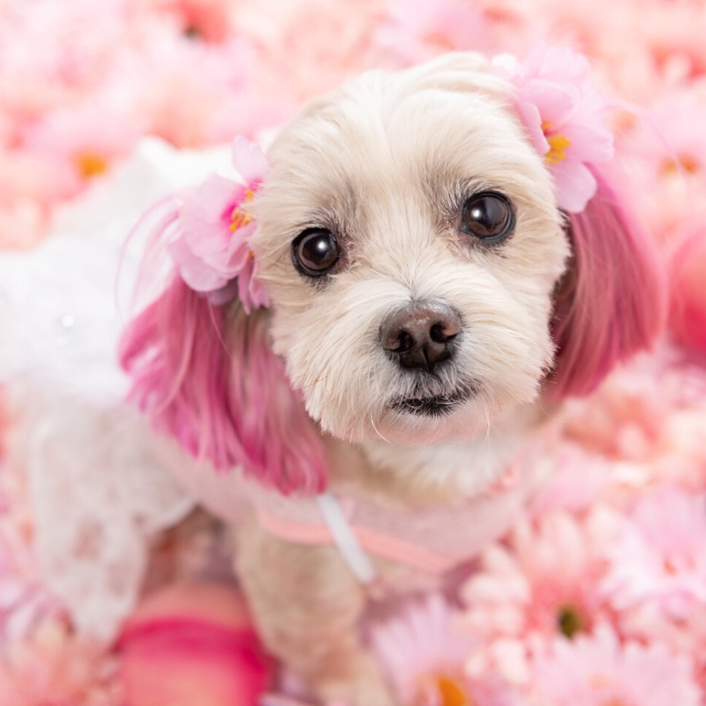 撮影モデルさん