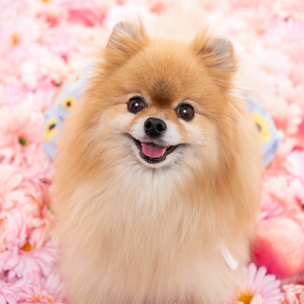 撮影モデルさん