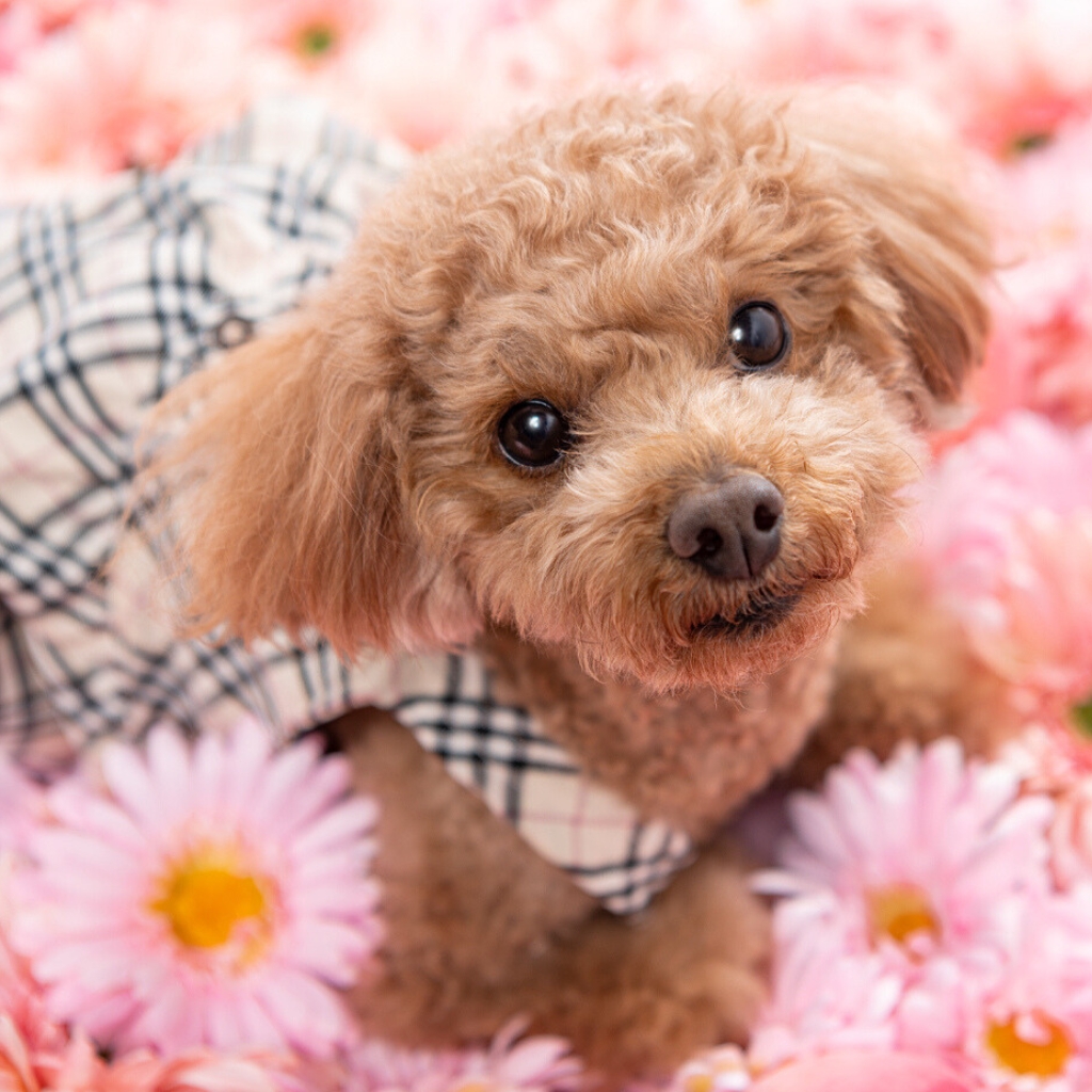 撮影モデルさん