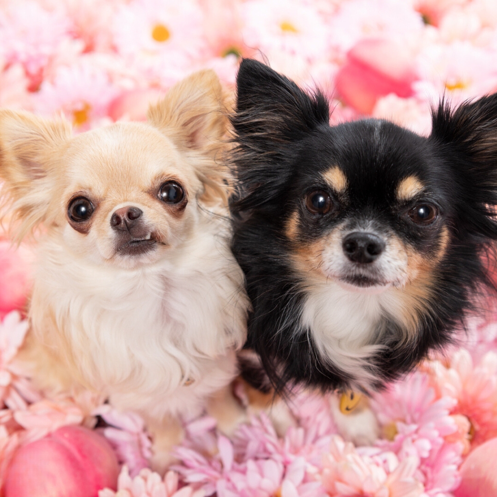 撮影モデルさん