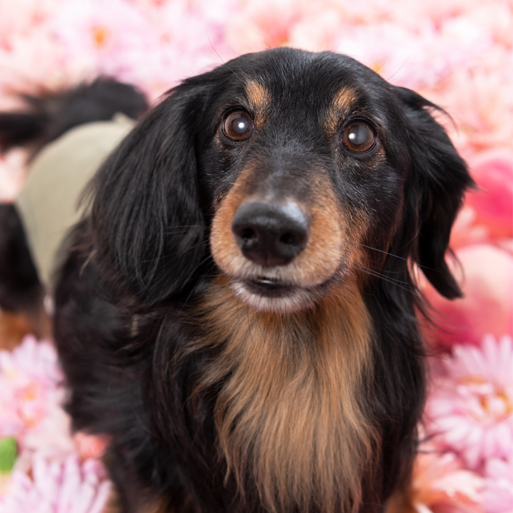 撮影モデルさん