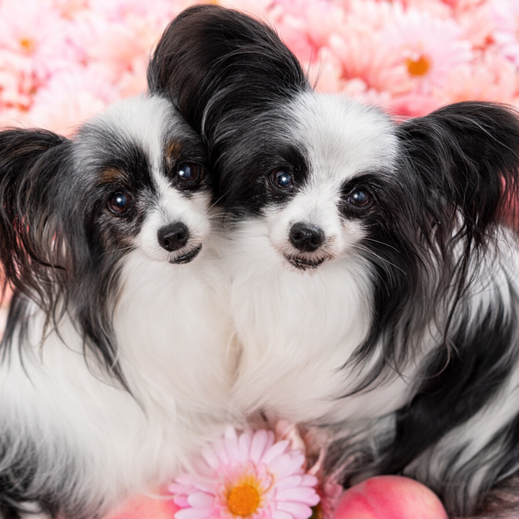 撮影モデルさん