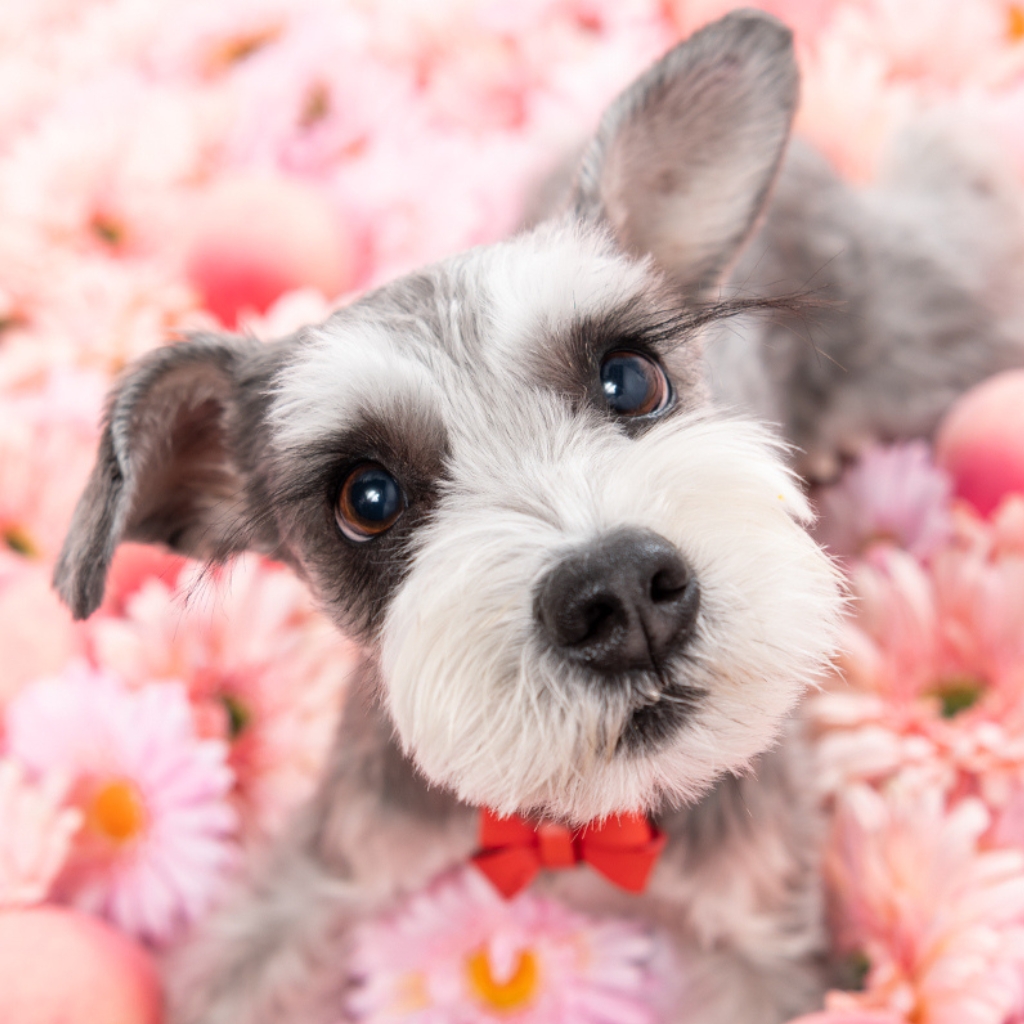 撮影モデルさん