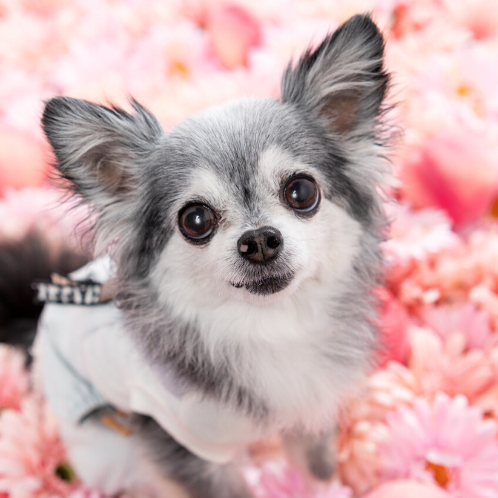 撮影モデルさん