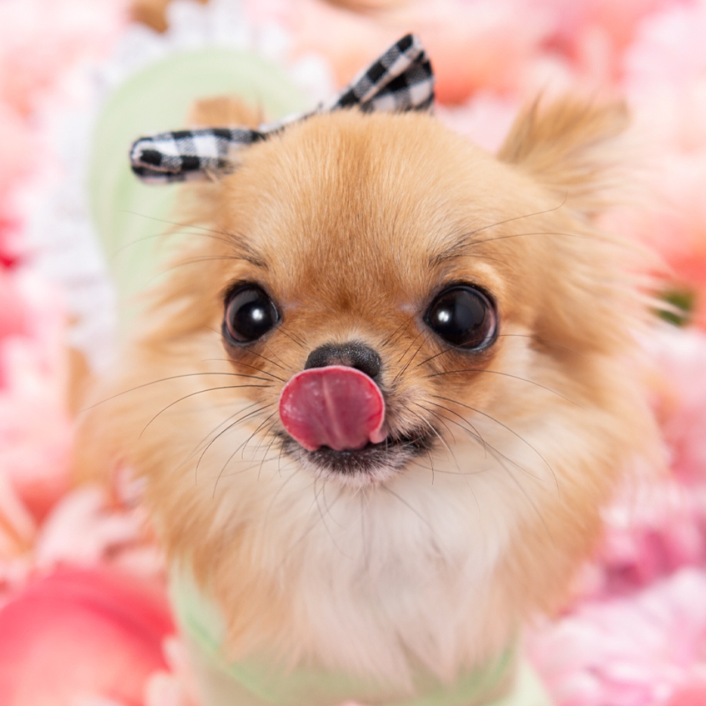 撮影モデルさん