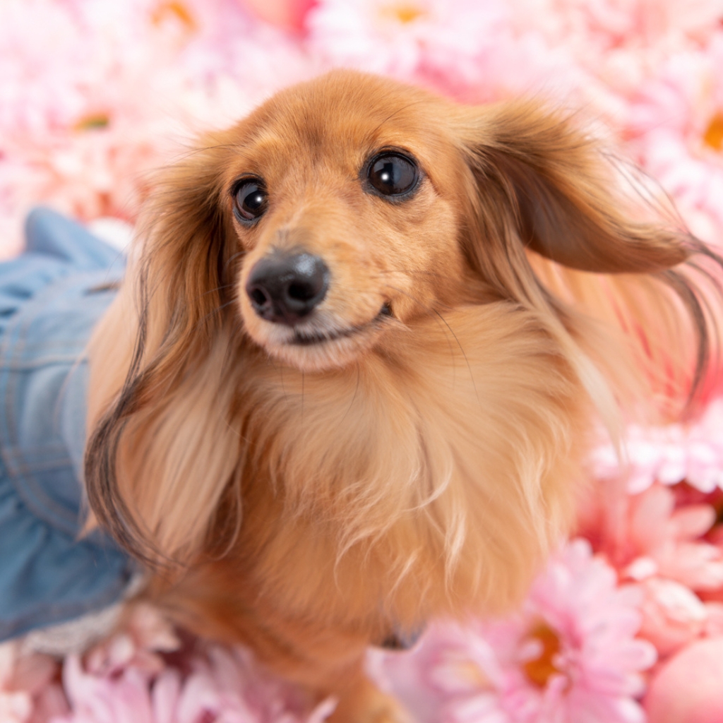 撮影モデルさん