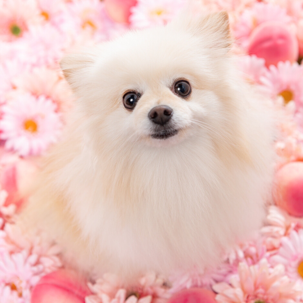 撮影モデルさん