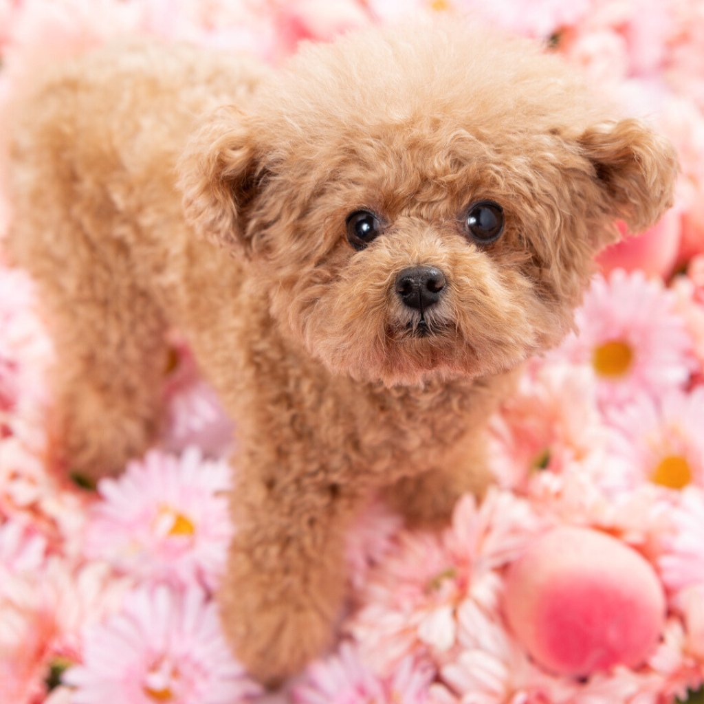 撮影モデルさん