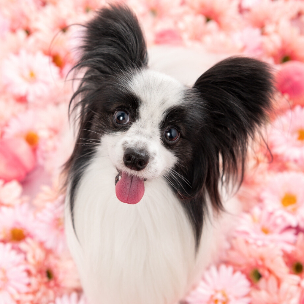 撮影モデルさん