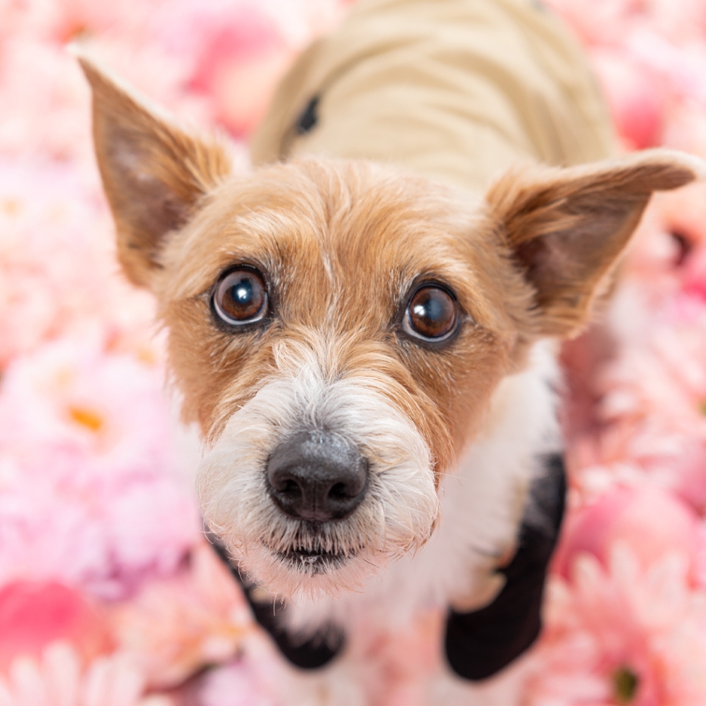 撮影モデルさん