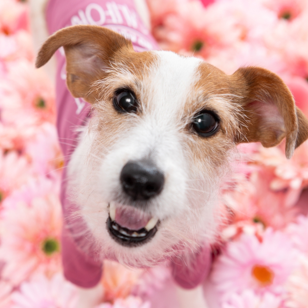 撮影モデルさん