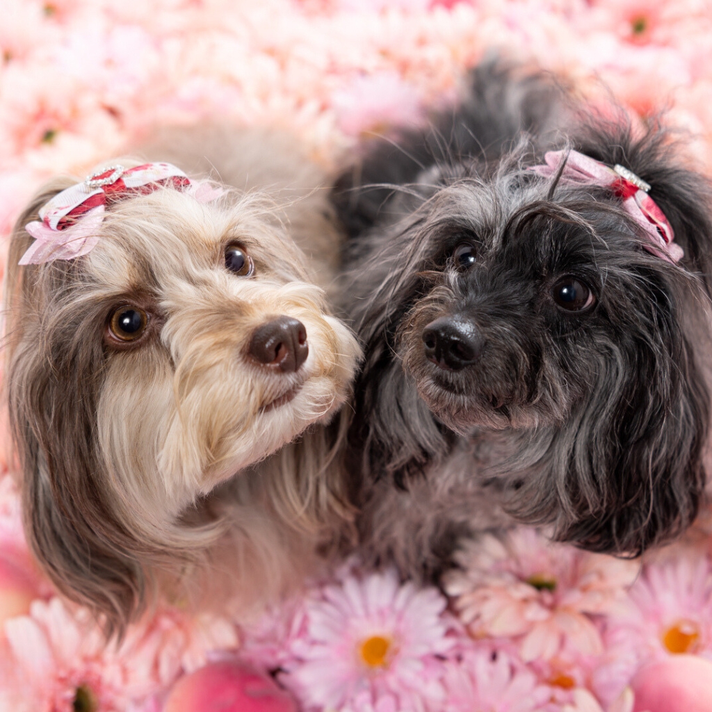 撮影モデルさん