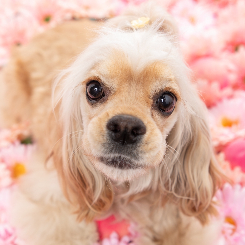 撮影モデルさん