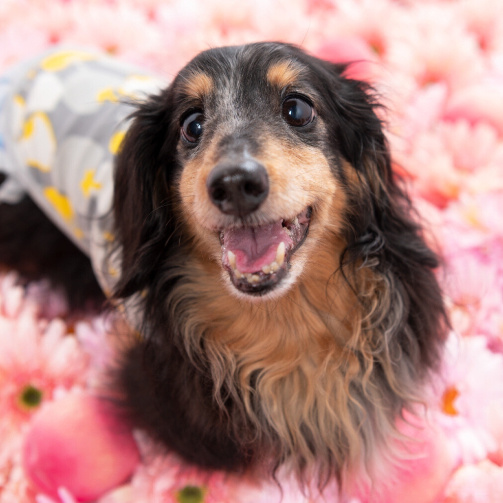 撮影モデルさん