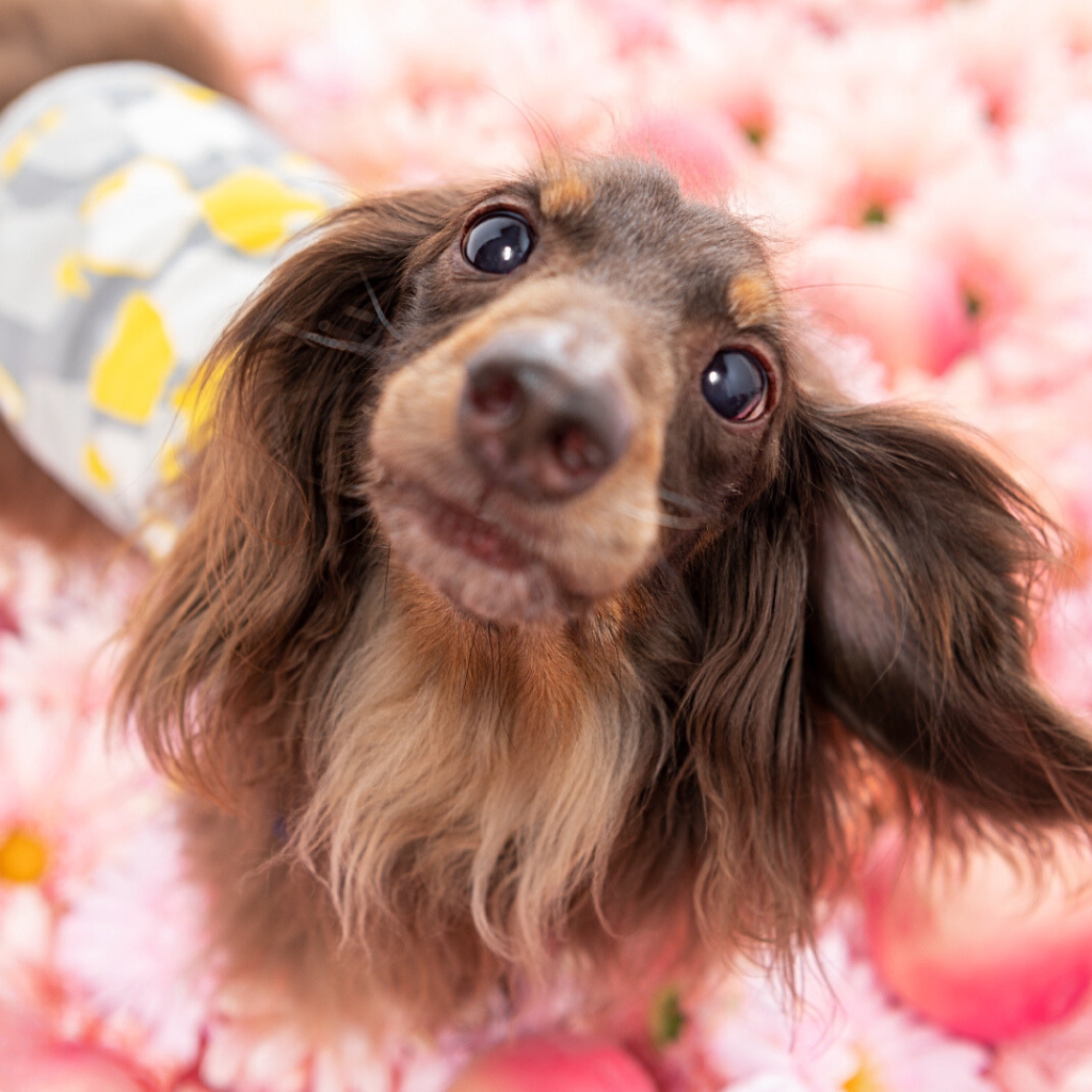 撮影モデルさん