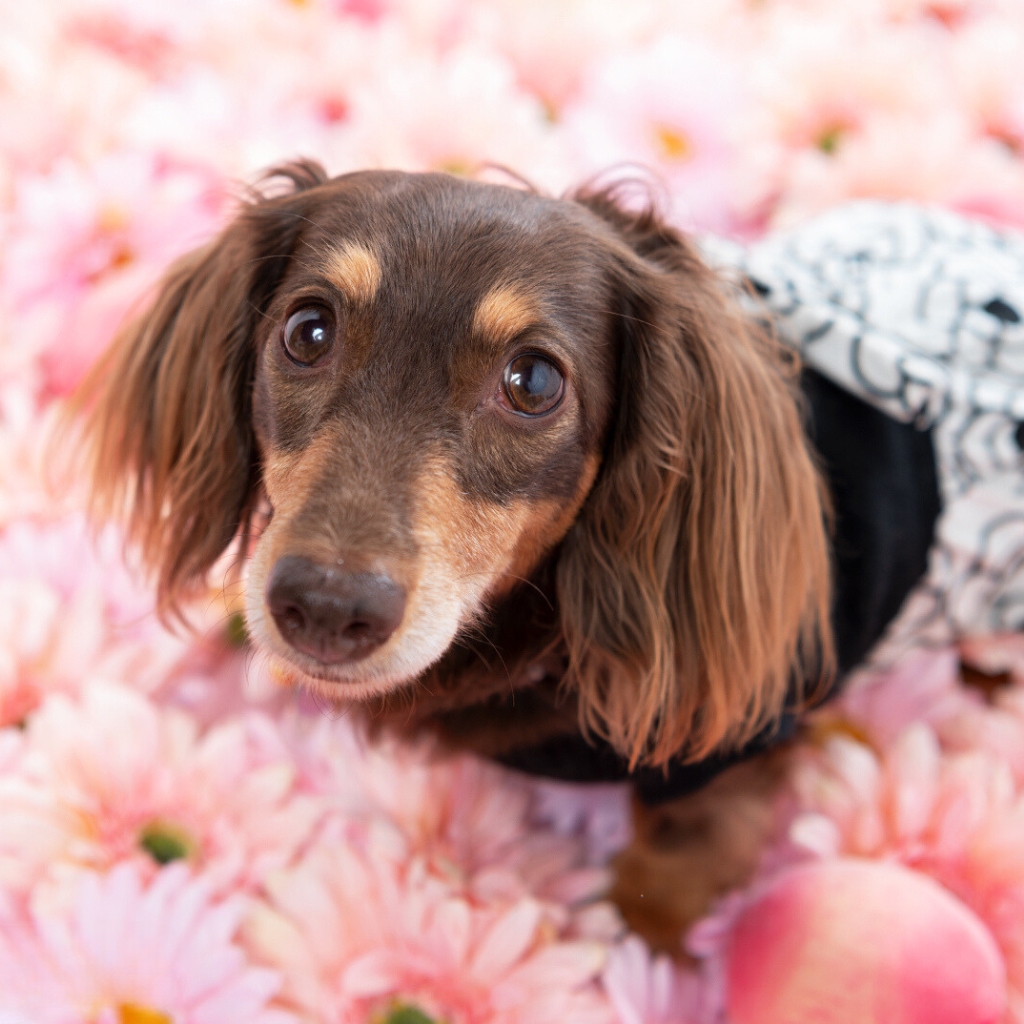 撮影モデルさん