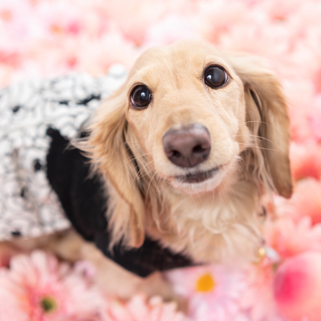 撮影モデルさん