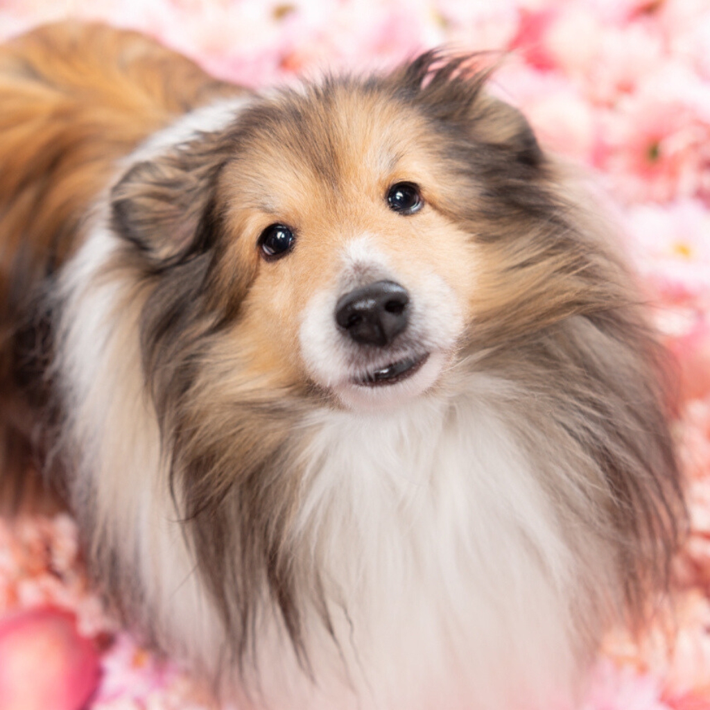 撮影モデルさん