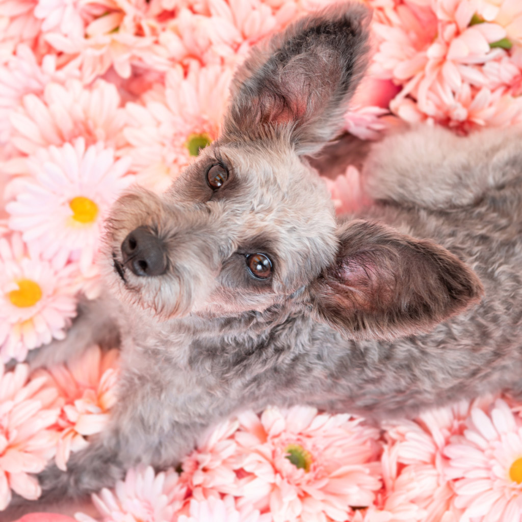 撮影モデルさん