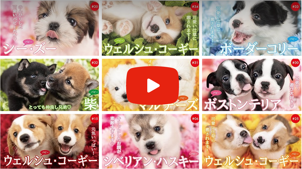 YouTube PICTWANチャンネル